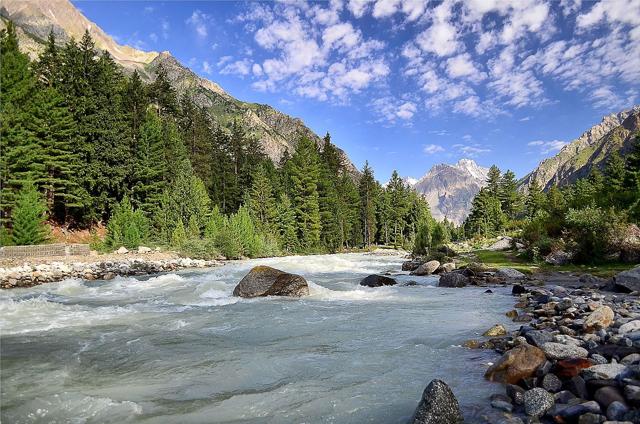 Naltar Valley